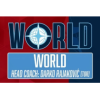 世界队logo