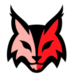 珀斯山猫女篮logo
