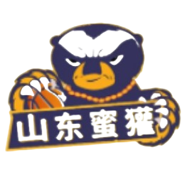 山东蜜獾logo