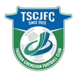 泰安泰山城建logo