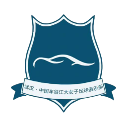 武汉车谷江大女足logo